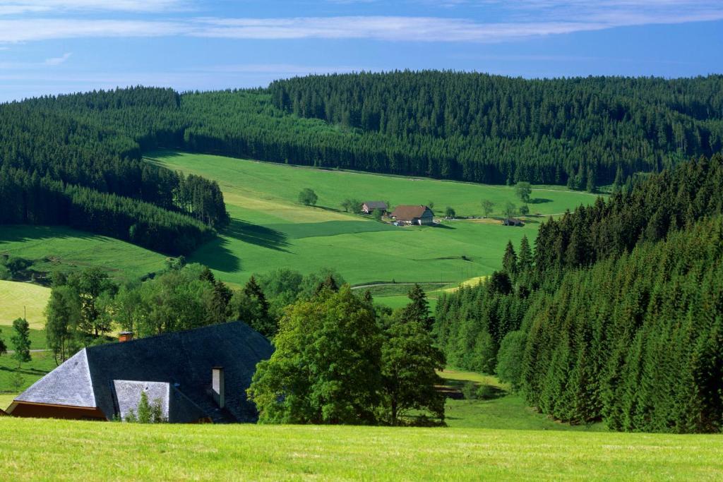 Gaestehaus Waldeck Titisee-Neustadt Exteriér fotografie